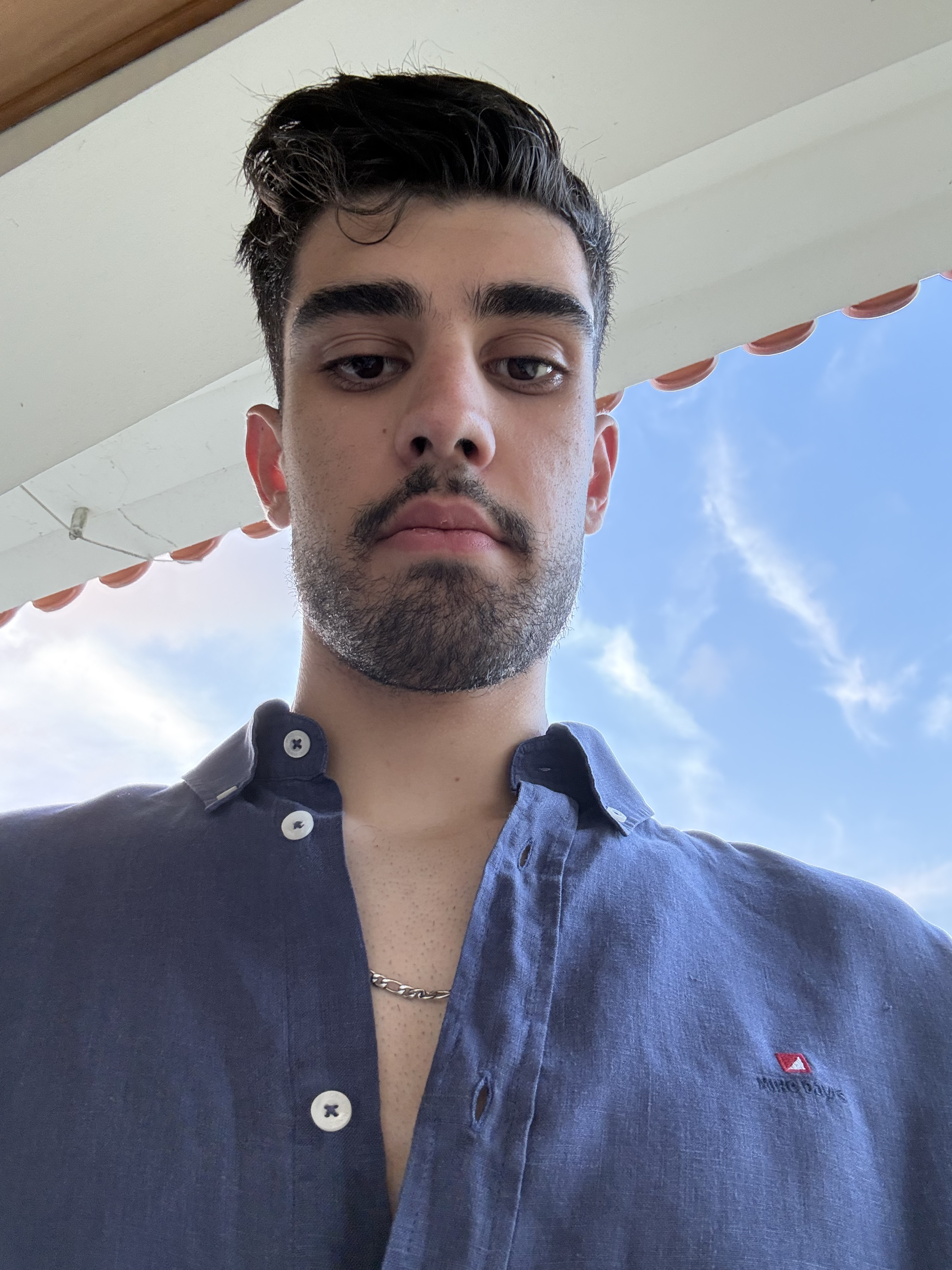 Dinis Silva